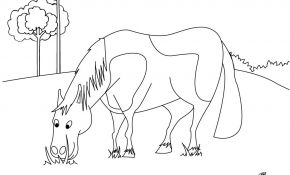 Cheval Coloriage Nice Coloriages Cheval Qui Broute Fr Hellokids