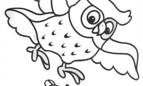 Chouette Coloriage Nice Coloriage Chouette