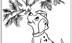 Coloriage 101 Dalmatiens Meilleur De Coloriages Du Film D Animation De Walt Disney Les 101