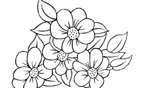 Coloriage À Imprimer Fleurs Frais Fleurs 48 Nature – Coloriages à Imprimer
