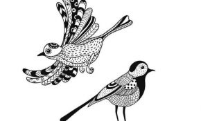 Coloriage À Imprimer Gratuit Animaux Inspiration Coloriage Anti Stress Animaux Oiseaux Dessin