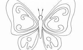 Coloriage À Imprimer Mandala Papillon Génial Coloriage Papillons A Imprimer Gratuit Coloriage Imprimer