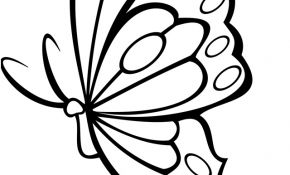 Coloriage À Imprimer Papillon Meilleur De Papillon Coloriage Recherche Google