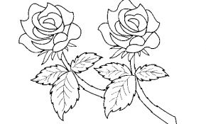 Coloriage A Imprimer Pour Maman Élégant Coloriage Bonne Fete Maman Roses Dessin