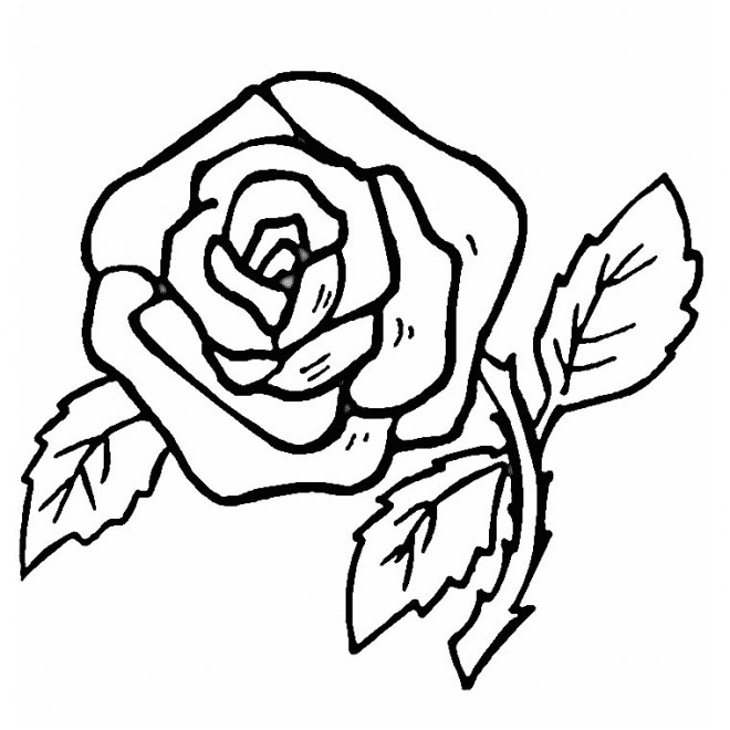 Coloriage Ados Génial Coloriage Roses Au Crayon Dessin Gratuit à Imprimer