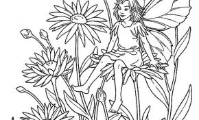 Coloriage Adulte Elfe Nouveau Une Elfe assise Sur Une Fleur De tournesol à Colorier