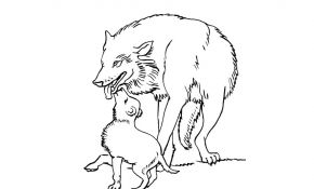 Coloriage Adulte Loup Nouveau 119 Dessins De Coloriage Loup Imprimer Avec Coloriage Loup