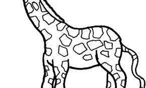 Coloriage Afrique Maternelle Luxe Coloriage Animaux Afrique Maternelle Lovely Giraffe
