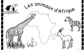 Coloriage Animaux Afrique Maternelle Génial Coloriage Afrique Maternelle Imprimer