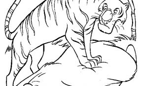 Coloriage Animaux Jungle Nice Animaux Sauvages De La Jungle 65 Animaux – Coloriages