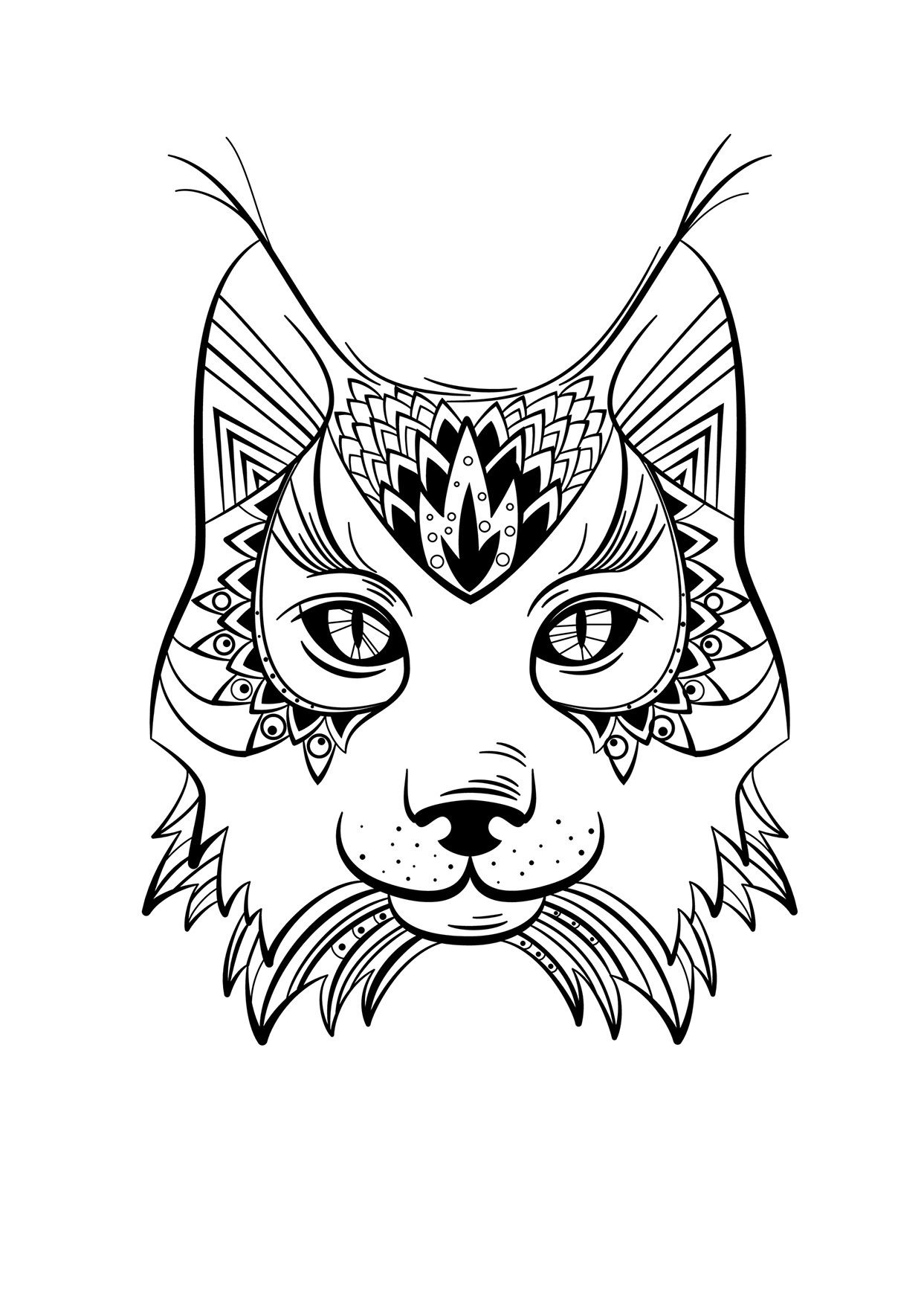 Coloriage Animaux Sauvage Inspiration Coloriage Animaux Lynx Coloring