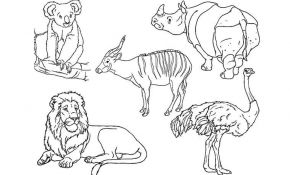 Coloriage Animaux Zoo Nice Coloriage Animaux Zoo Dessin