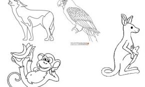 Coloriage Animaux Zoo Nice Zoo 180 Animaux – Coloriages à Imprimer