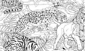 Coloriage Anti Stress Animaux Tigre Élégant Coloriage Dessin A Numéro Les Beaux Dessins De Autres à
