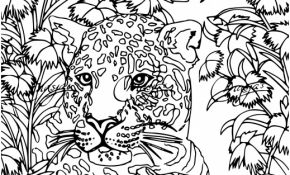 Coloriage Anti Stress Animaux Tigre Inspiration Coloriage Anti Stress Tigre à Imprimer Sur Coloriages Fo