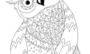 Coloriage Anti Stress Animaux Tigre Luxe Coloriages Anti Stress – Shop Dinett Illustration