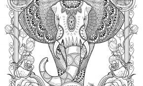 Coloriage Beau Nouveau Elephant With Patterns Eléphants Coloriages Difficiles