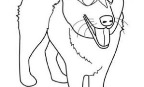 Coloriage Berger Allemand Inspiration Coloriage De Berger Allemand Dessin De Berger Allemand