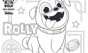 Coloriage Bingo Et Rolly Luxe Puppy Dog Pals Rolly Desenhos Para Colorir
