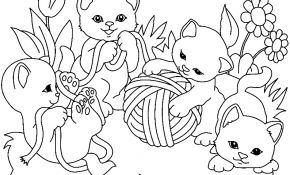 Coloriage Chatons Nice Coloriage Chat