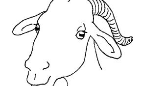 Coloriage Chèvre Frais Chèvre 80 Animaux – Coloriages à Imprimer