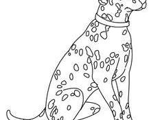 Coloriage Chihuahua Nice Coloriages Chihuahua Fr Hellokids