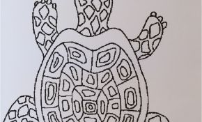 Coloriage Colle Génial Cocos Tortues Bricolage Pany