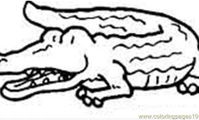 Coloriage De Crocodile Frais Aligator 10 Coloring Page Free Crocodile Coloring Pages