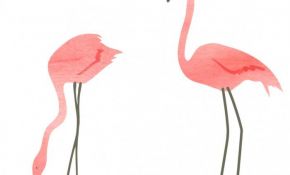 Coloriage De Flamant Rose Nouveau Atlitw Flamingo Wallstickers
