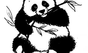 Coloriage De Panda Frais Coloriage Pandas Les Beaux Dessins De Animaux à Imprimer