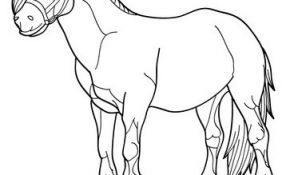 Coloriage De Poney Frais Pony Bild Zum Ausmalen Zum Ausmalen De Hellokids
