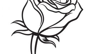 Coloriage De Rose Inspiration Coloriage Adorable Rose Saint Valentin Fermee Sur