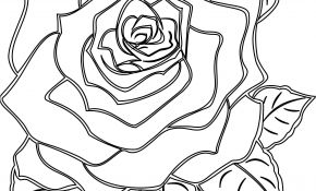 Coloriage De Rose Luxe Unique Coloriage A Imprimer De Rose