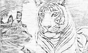Coloriage De Tigre Élégant Dessin Colorier Mandala Tigre Imprimer
