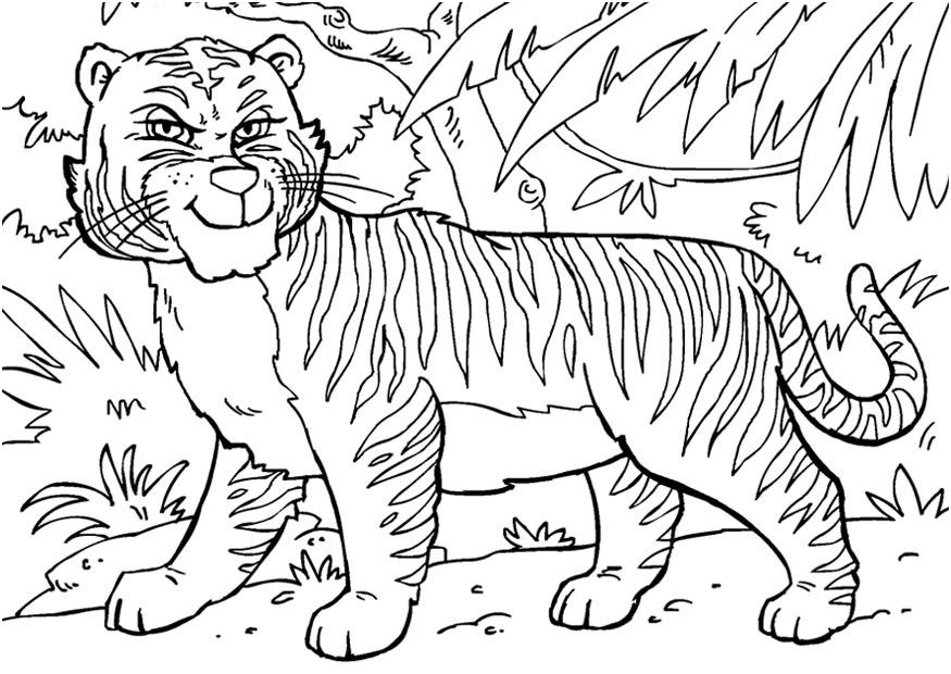 Coloriage De Tigre Nouveau Coloriage Tigre Img