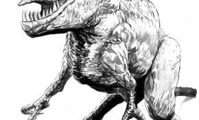 Coloriage Dinosaure Carnivore Inspiration Coloriages à Imprimer T Rex Numéro