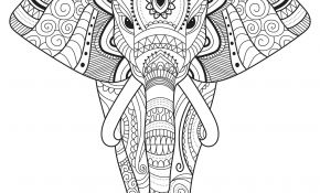Coloriage Elephant Mandala Nice Eléphant Et Motifs Eléphants Coloriages Difficiles