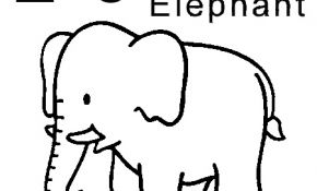 Coloriage Éléphant Nice Coloriage Elephant D Inde
