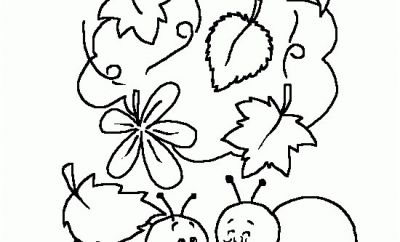 Pr Cieux Coloriage Escargot Maternelle Pictures Coloriage