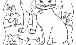 Coloriage Famille Chat Luxe Раскраски Коты