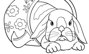 Coloriage Famille Lapin Génial Coloriage Famille Lapin
