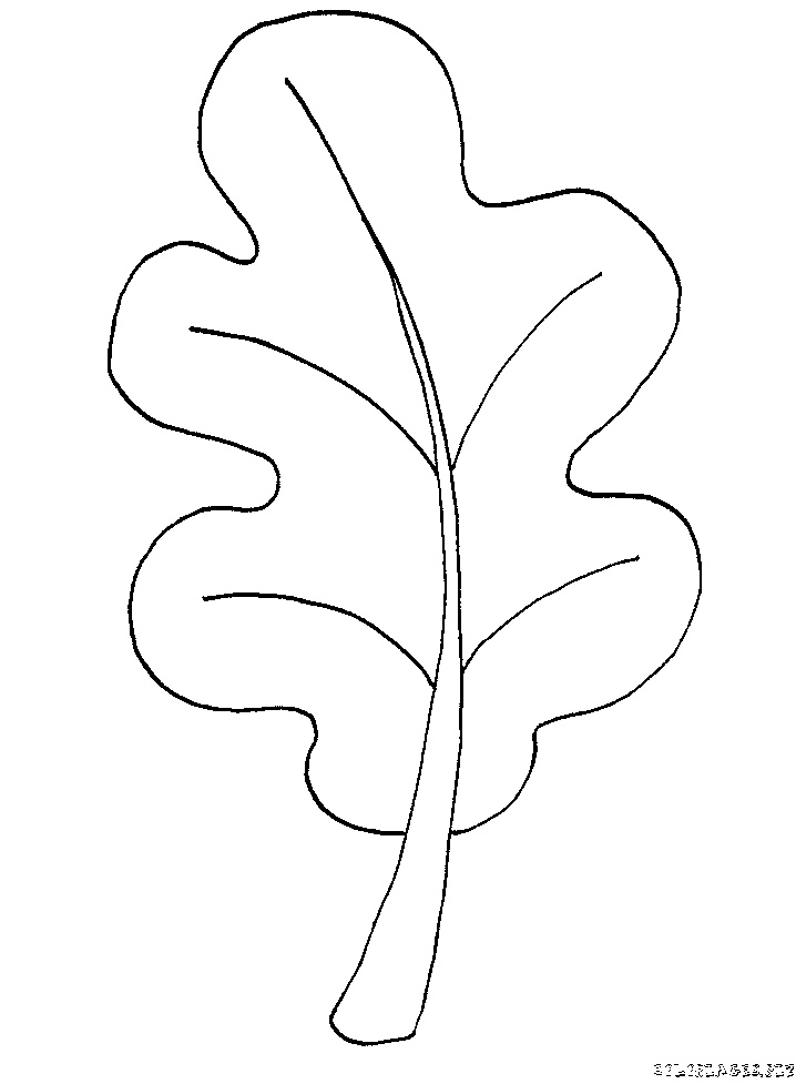 Coloriage Feuille D&amp;#039;arbre Élégant Coloriage Feuilles Des Fôrets Gratuit 1768 Automne