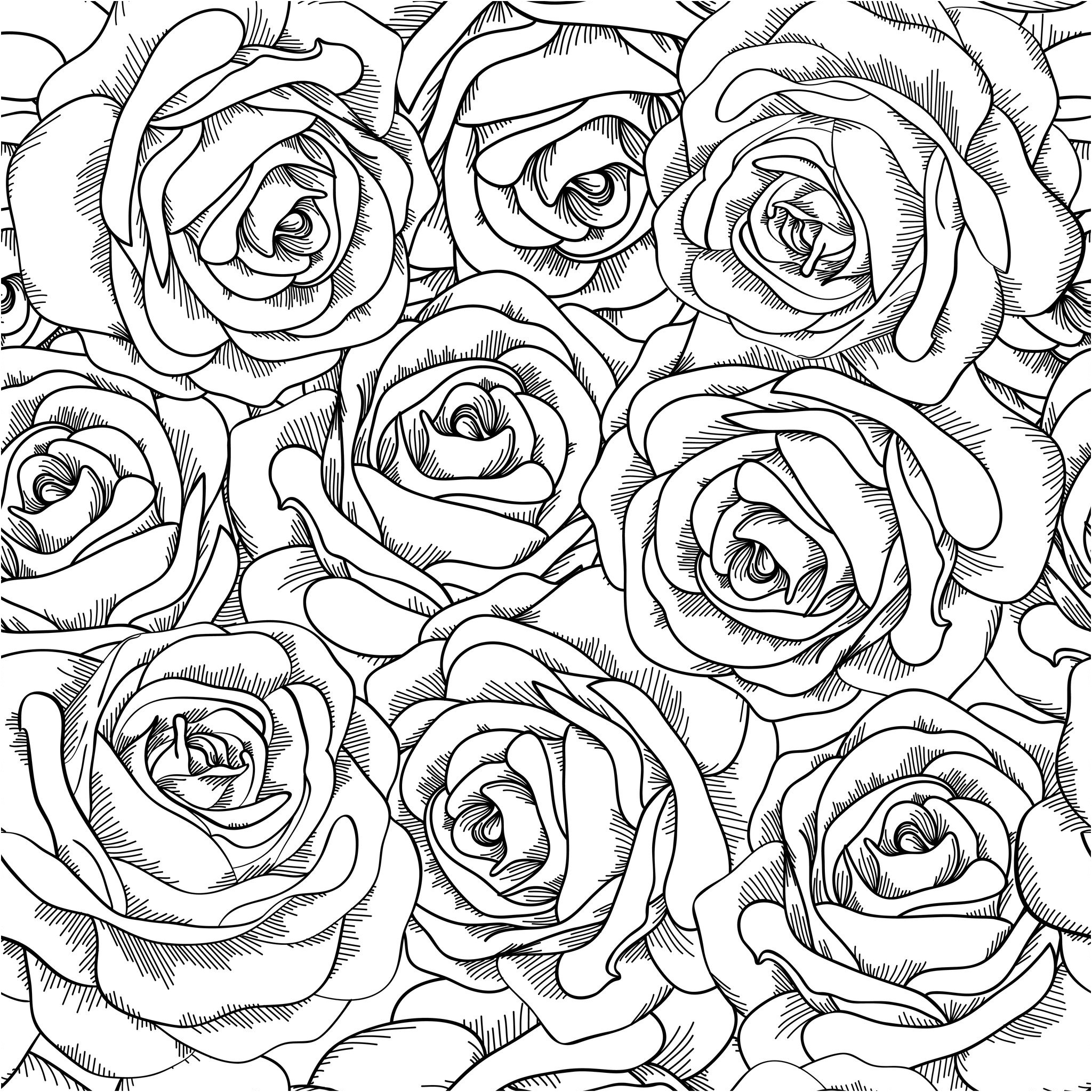 Coloriage Fleurs Adulte Inspiration Coloriage De Roses à Imprimer