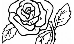 Coloriage Fleurs Luxe Coloriage Fleur Rose Simple Et Facile Dessin