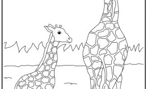 Coloriage Girafe À Imprimer Inspiration Sélection De Coloriage Girafe à Imprimer Sur Laguerche