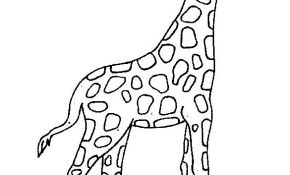 Coloriage Girafe À Imprimer Nice Coloriage à Imprimer Coloriage Girafe 057