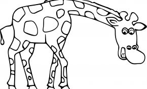 Coloriage Girafe À Imprimer Nouveau Coloriage Girafe Animaux D Afrique à Imprimer Sur