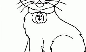 Coloriage Halloween Chat Luxe Dessin De Chat Animozone