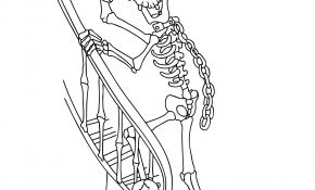 Coloriage Halloween Squelette Luxe Coloriages Des Squelettes Horribles Et Rigolos D Halloween