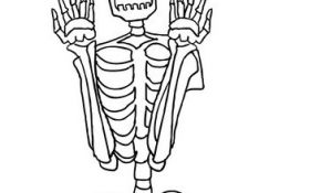 Coloriage Halloween Squelette Unique Gruseliges Skelett Von Vorne Zum Ausmalen Zum Ausmalen